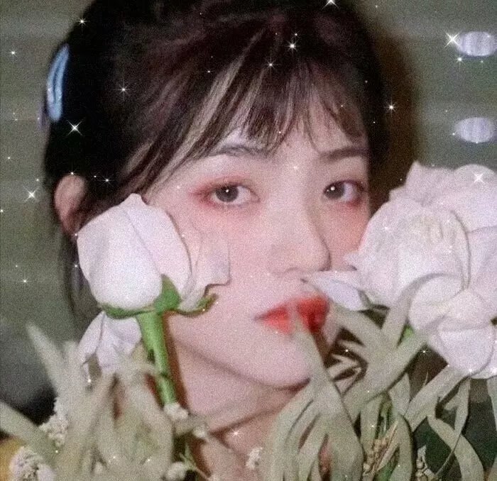爱的锦囊妙计2