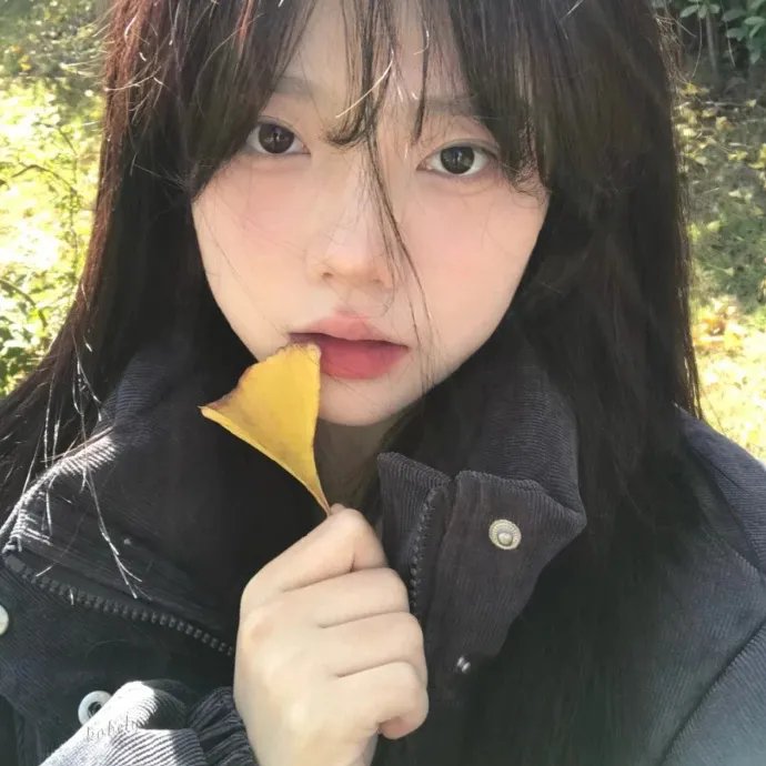 护花大臣